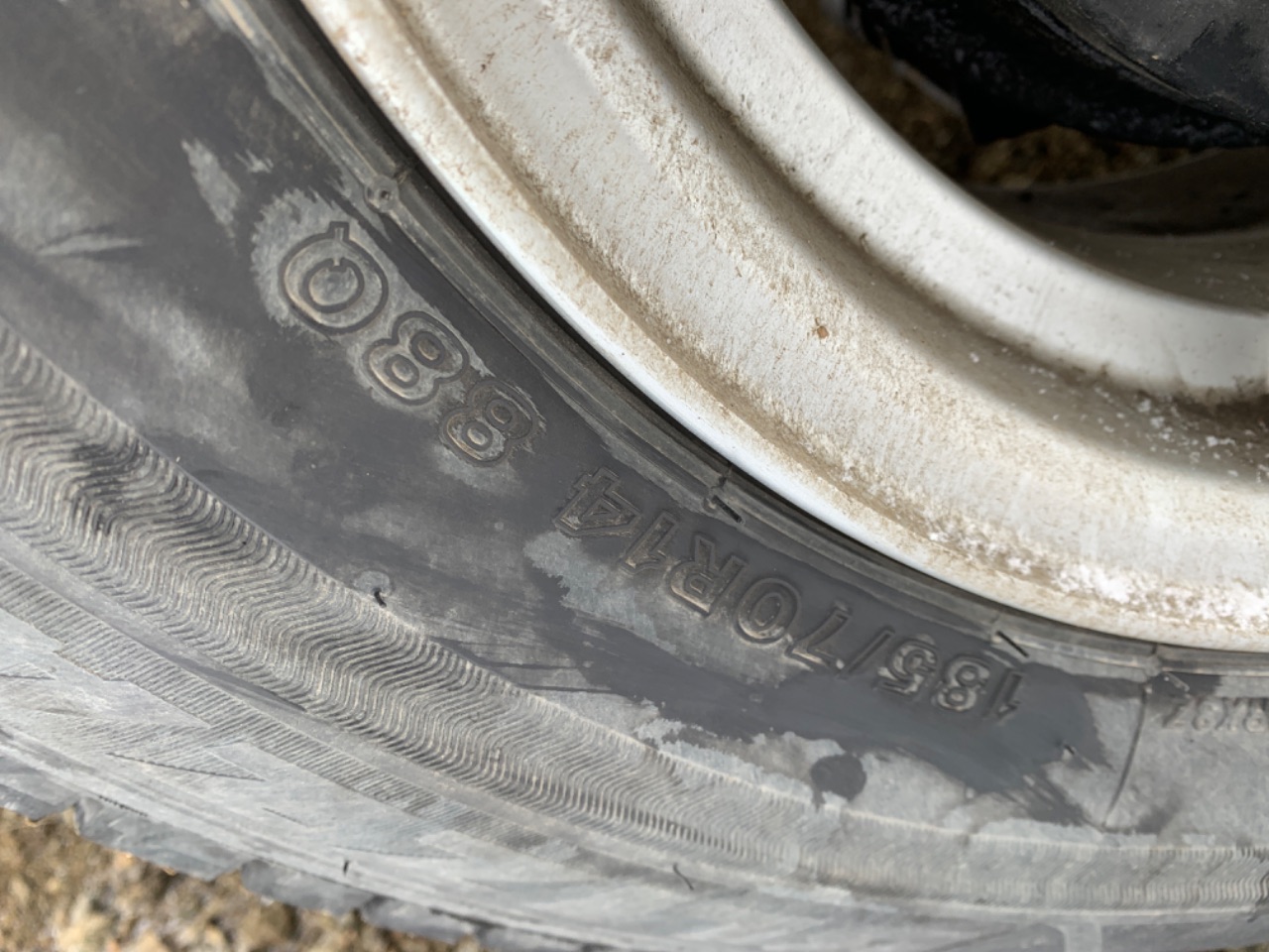 GAPRAS トヨタ ガイア - 商品詳細 - BD12619