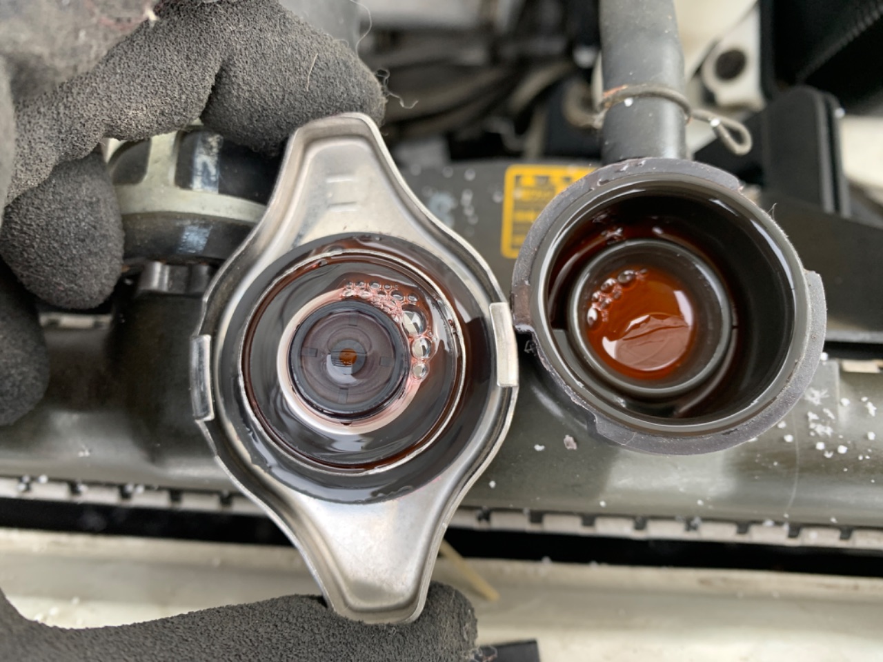 ガイア 11枚 GAPRAS トヨタ ガイア - 商品詳細 - BD12619