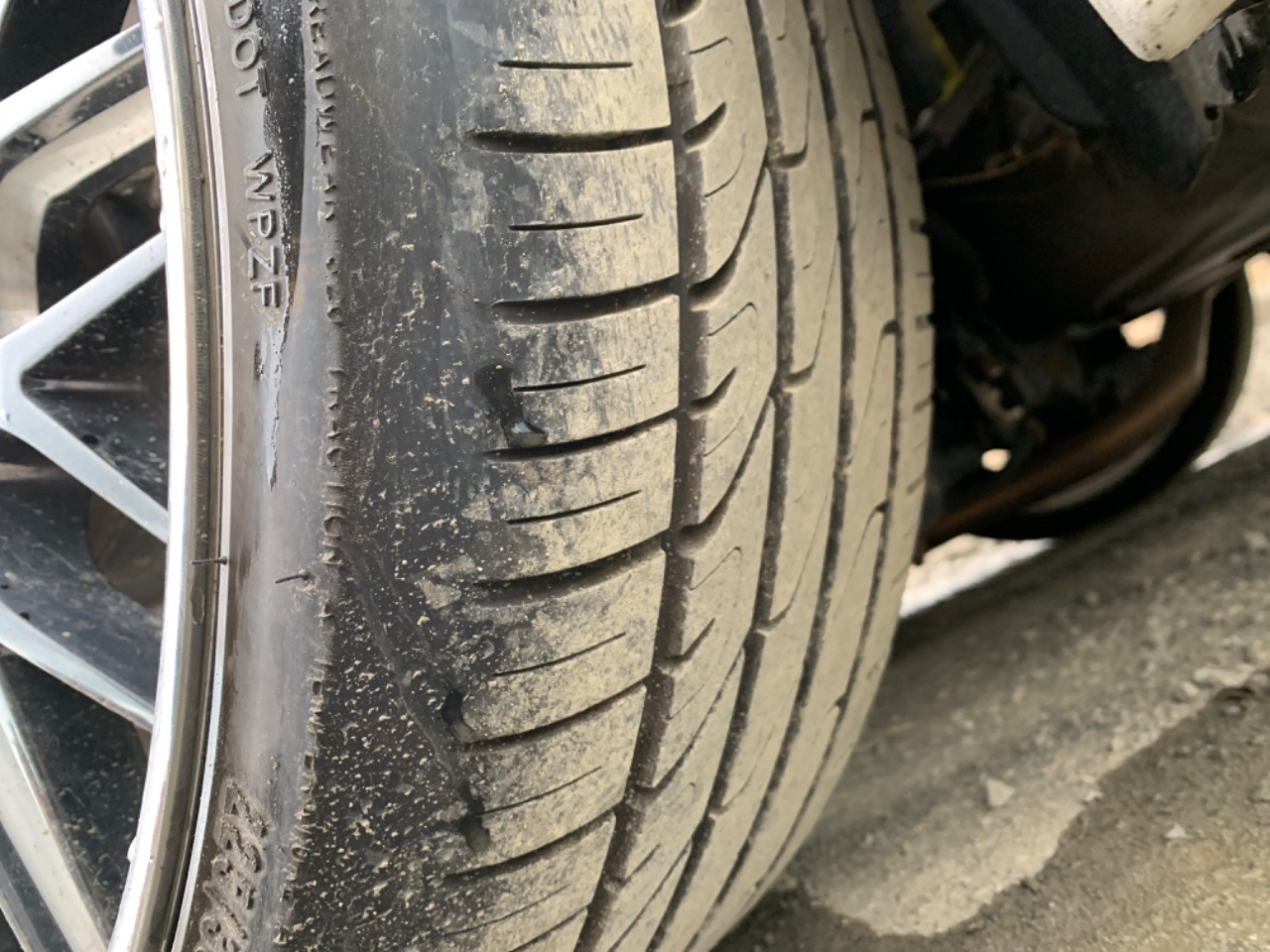 GAPRAS トヨタ アベンシス - 商品詳細 - BD15195
