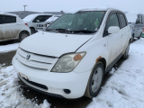 TOYOTA Ist  1/21
